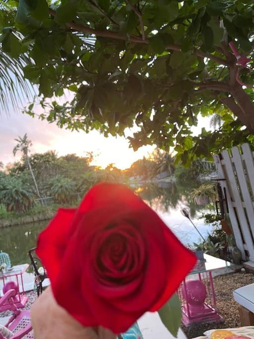 Kasa Karma On Water King Pool Paradise,Best Beaches,Restaurants, Gulfstream,Hard Rock Casino Hallandale Beach